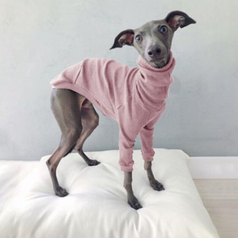 Combinaisons À Capuche Imperméables À Col Haut Pour Chiens,Vêtements Pour Animaux De Compagnie À Deux Pattes,Fournitures Pour Chiens,Lévrier,Printemps,Automne, - Type Pink-S