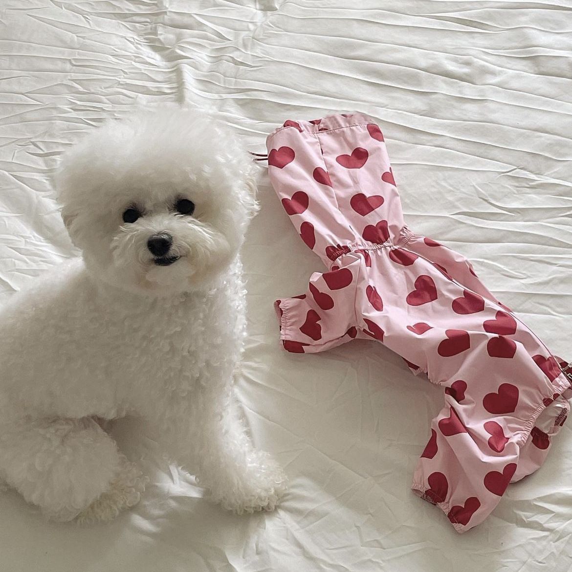 Tchancelier-Manteau À Capuche Épais Et Imperméable Pour Chien,Manteau À Quatre Pattes,Mignon,Amour,Vêtements Pour Chiots - Type Pink Heart-Xxl