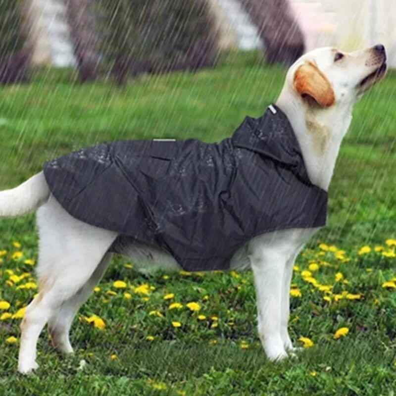 Imperméable Imperméable Pour Chien,Veste À Capuche Combinée,Vêtements Pour Animaux De Compagnie,Casting,Petits Et Grands Chiens,Fournitures Pour Animaux De Compagnie,Chihuahua - Type Black-5xl #B