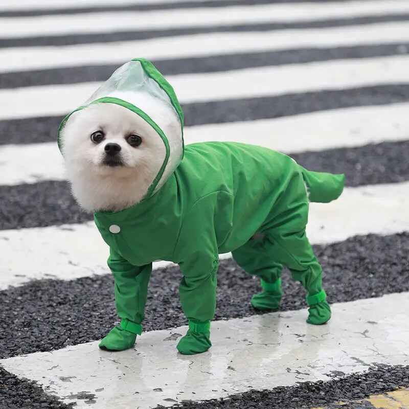 Imperméable Mignon Pour Animaux De Compagnie,Tout Compris,Garde Les Animaux De Compagnie Au Sec Pour Promener Le Chien Les Jours De Pluie,Fournitures Pour Chats Et Chiens - Type Green-L