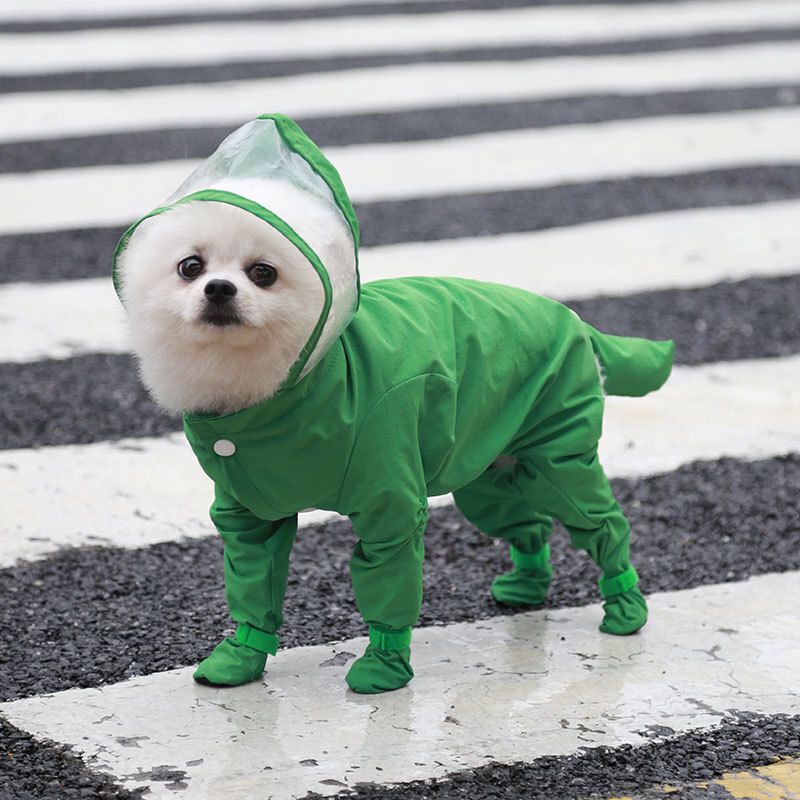 Imperméable Tractable Pour Chien À Quatre Pattes,Imperméable,Tout Compris,Petits Chiens,Bichon Frisé,Nounours,Vêtements De Jour De Pluie Pour Animaux De Compagnie - Type Green-S