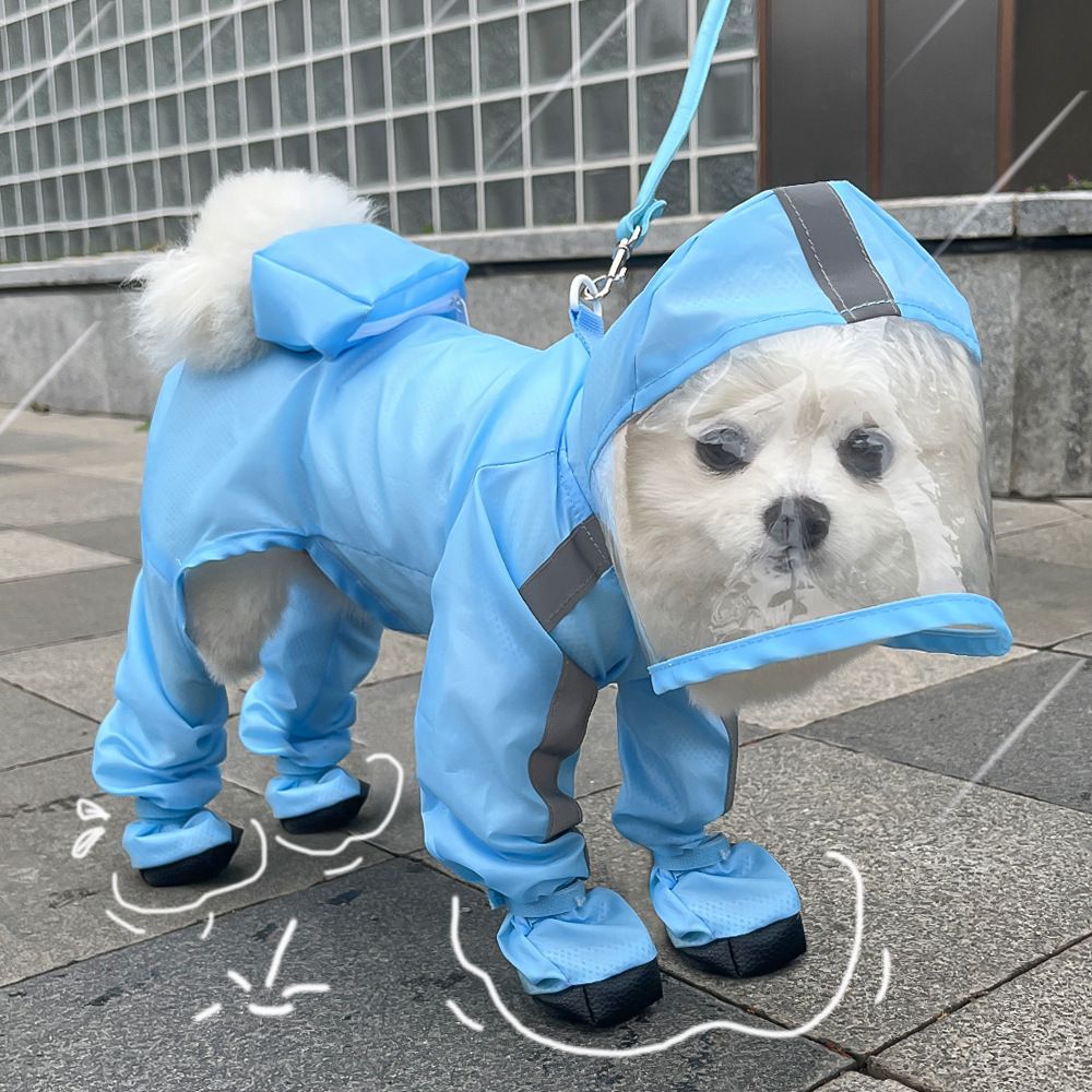Imperméable Tractable Pour Chien À Quatre Pattes,Imperméable,Tout Compris,Petits Chiens,Bichon Frisé,Nounours,Vêtements De Jour De Pluie Pour Animaux De Compagnie - Type Blue-L