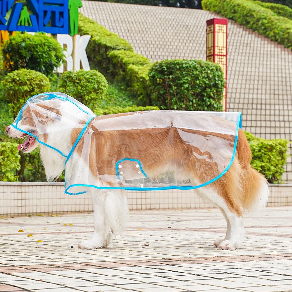Manteau De Pluie À Capuche Pour Chien,Imperméable Transparent En Pvc,À La Mode,Pour Chiens Moyens Et Grands - Type Blue-2xl For 5-7kg