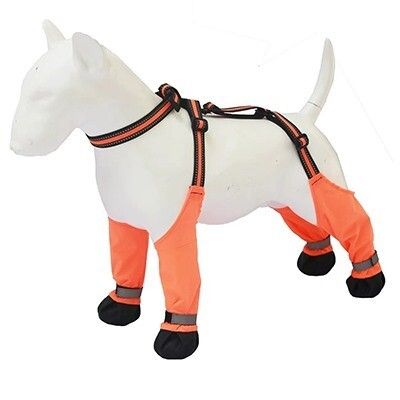 Outil De Marche Pour Chien En Plein Air,Lacets D'été Anti-Saleté,Bottes Pour Chien Ze,Semelle Souple Imperméable,Ne Peut Pas Secouer La Chaussure Pour Animal De Compagnie - Type C-S