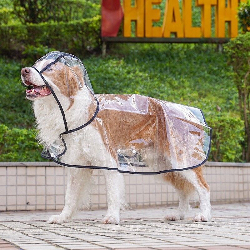 Imperméable À Capuche Transparent Pour Chien,Veste De Pluie Imperméable,Vêtements Pour Animaux De Compagnie,Marche En Plein Air,Fournitures Pour Animaux De Compagnie,Petits,Moyens - Type Black-Xxxl