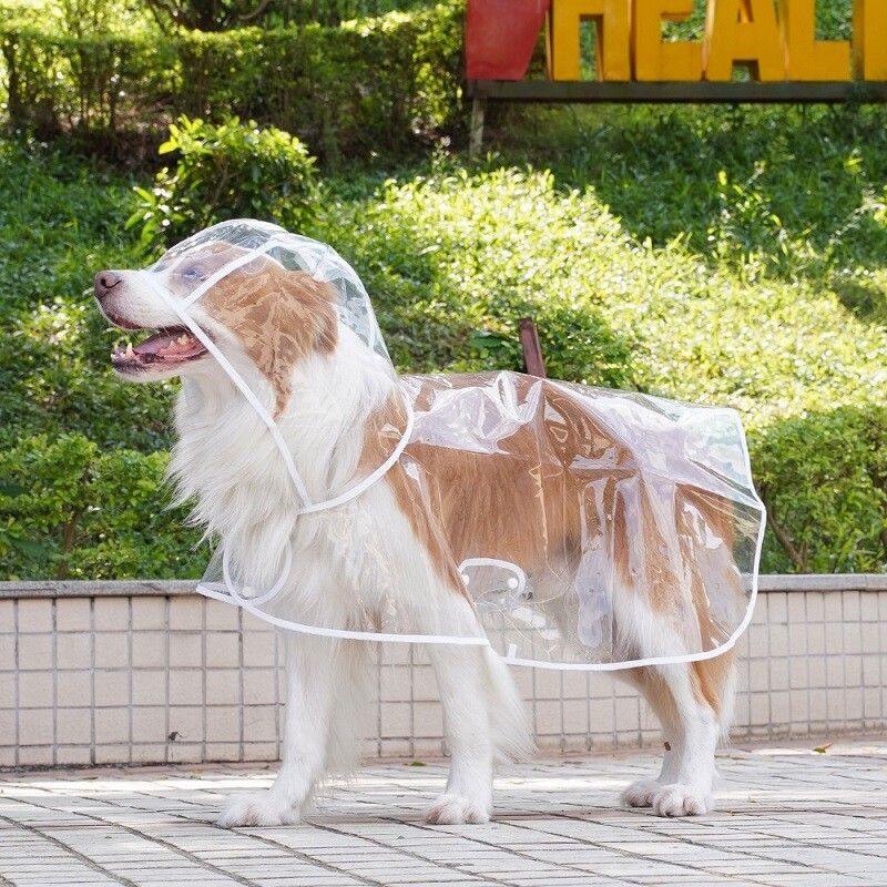 Imperméable À Capuche Transparent Pour Chien,Veste De Pluie Imperméable,Vêtements Pour Animaux De Compagnie,Marche En Plein Air,Fournitures Pour Animaux De Compagnie,Petits,Moyens Et - Type White-S