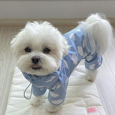 Imperméable Imperméable Tout Compris Pour Chien De Compagnie,Ours En Peluche À Capuche,Petit Et Moyen Chien,Quatre Pattes - Type A-S
