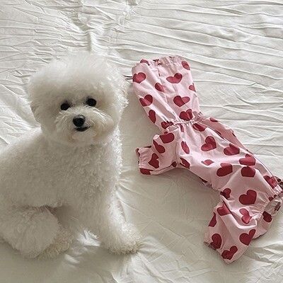 Imperméable Imperméable Tout Compris Pour Chien De Compagnie,Ours En Peluche À Capuche,Petit Et Moyen Chien,Quatre Pattes - Type C-S