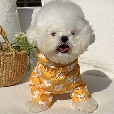 Imperméable Imperméable Tout Compris Pour Chien De Compagnie,Ours En Peluche À Capuche,Petit Et Moyen Chien,Quatre Pattes - Type B-L