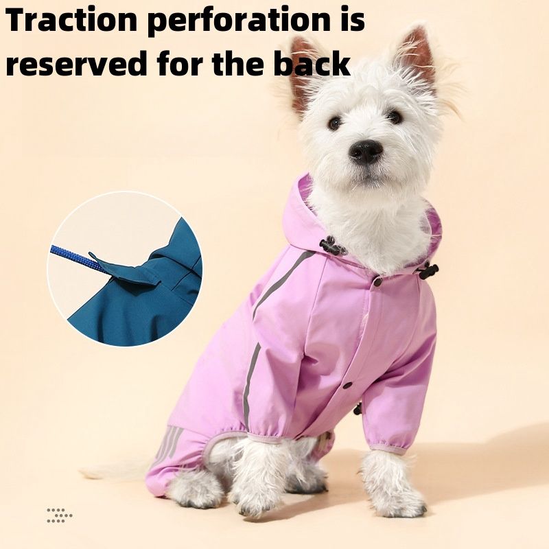 Imperméable De Coulée Imperméable Pour Chien,Combinaison Maltaise,Vêtements Pour Animaux De Compagnie,Petit Et Moyen Chien,Chihuahua - Type Violet-Xl