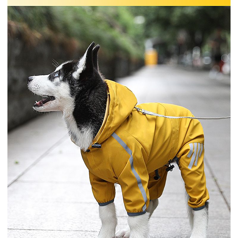 Imperméable De Coulée Imperméable Pour Chien,Combinaison Maltaise,Vêtements Pour Animaux De Compagnie,Petit Et Moyen Chien,Chihuahua - Type Yellow-2xl