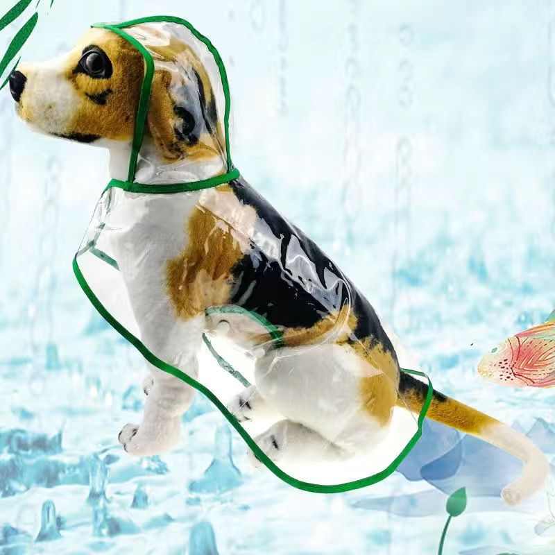 Poncho Imperméable Transparent Pour Animaux De Compagnie,Vêtements Pour Chiens De Grande Et Moyenne Taille,Nounours,Bichon,Chat,Samoyède - Type Green-M