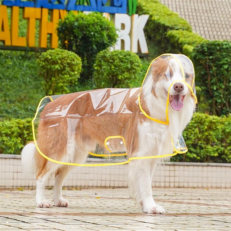 Imperméable Transparent Pour Animaux De Compagnie,Salopette De Marche En Plein Air,Vêtements Durables Pour Chiens Moyens,Fournitures Pour Animaux De Compagnie,Oliggolden Labrador - Type Yellow-Xl