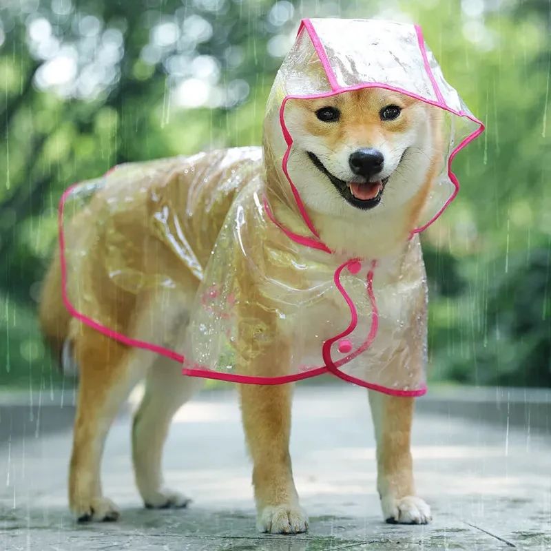 Veste De Pluie À Capuche Imperméable Pour Chien,Poncho Transparent En Plastique Pour Chiot,Petit Et Moyen Gabarit - Type Rouge-Xxl