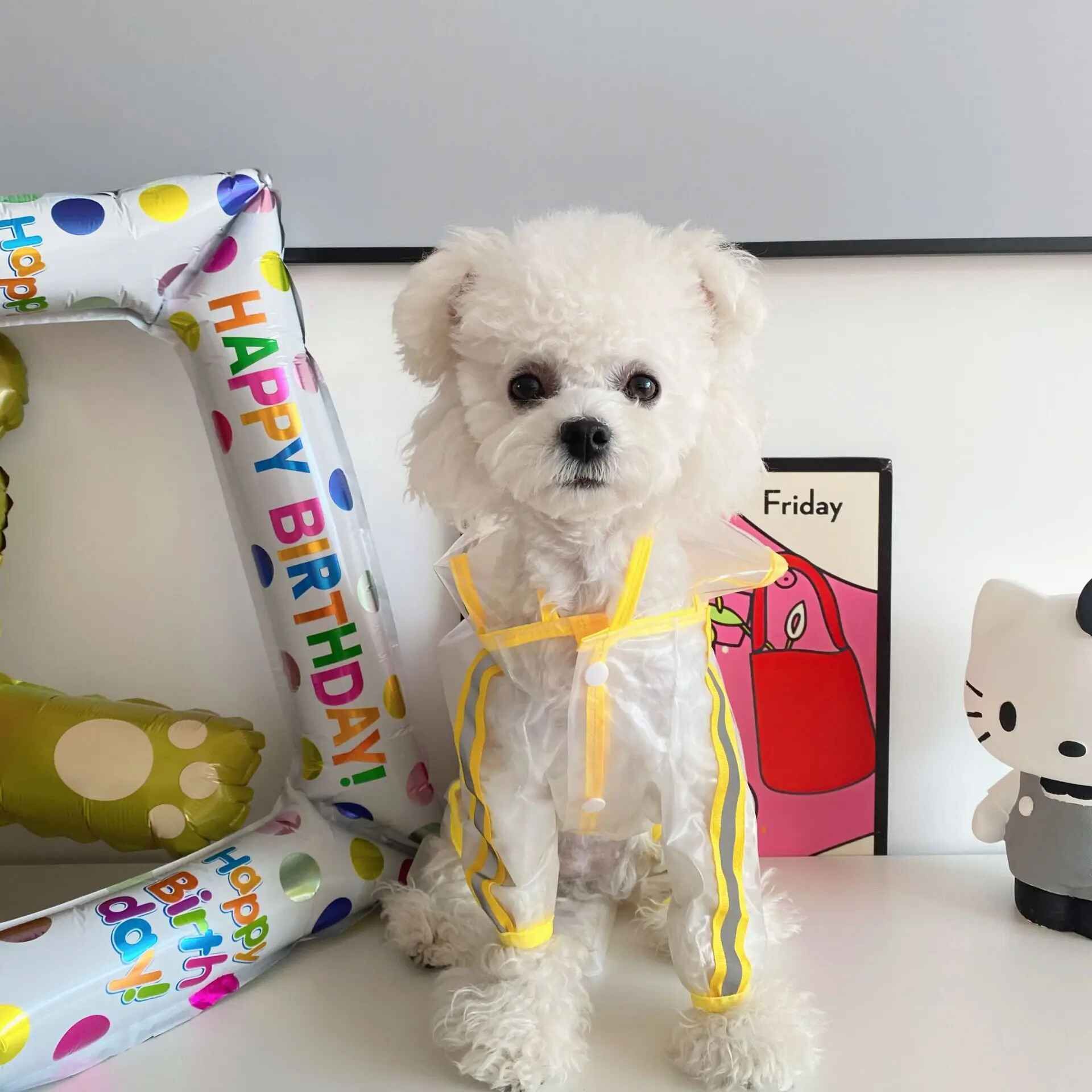 Imperméable Transparent Pour Animaux De Compagnie,Veste De Pluie,Manteau Imperméable Pour Petits Et Moyens Chiens,Poncho Pour Chien Teddy Shiba,Vêtements Pour Animaux De Compagnie De M - Type C-4xl