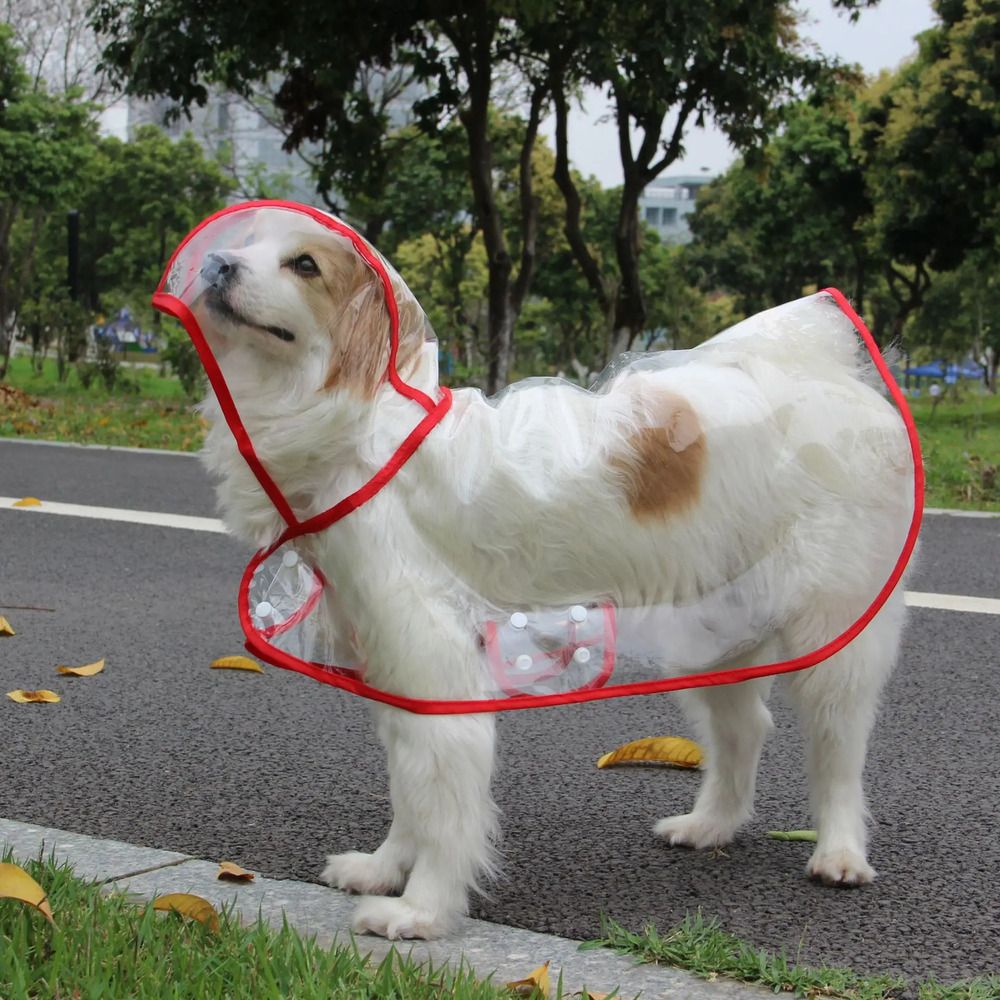Imperméable À Capuche Transparent Pour Animaux De Compagnie,Vêtements De Pluie Pour Chiot,Fournitures De Sortie Pour Chien - Type Red-Xs
