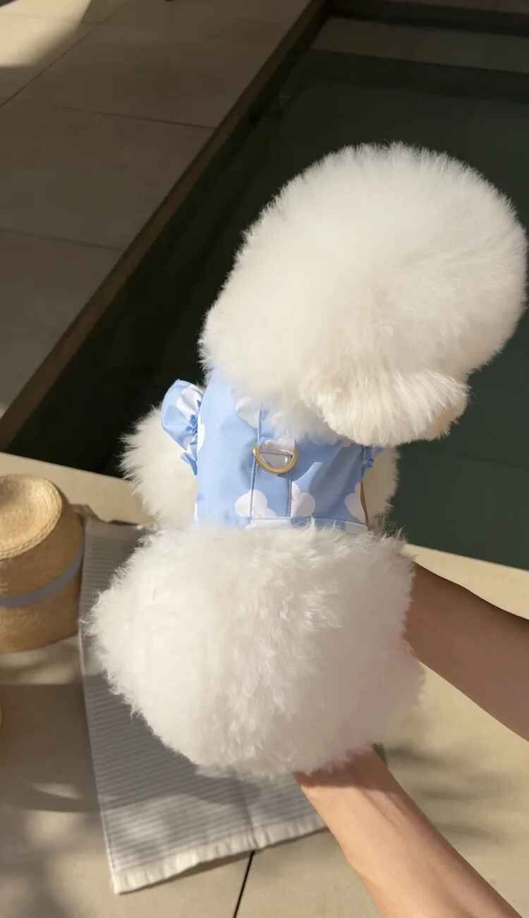 Poncho Imperméable Pour Animaux De Compagnie Avec Quatre Pattes Et Capuche,Combinaison Complète Pour Chiot,Petits Et Moyens Chiens - Type Blue Harness-Xl