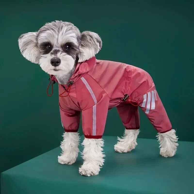 Poncho De Pluie Imperméable À Quatre Pattes Pour Chien,Chihuahua,Bouledogue Français,Convient Aux Chats Et Chiens Les Jours De Pluie - Type Red-Xl