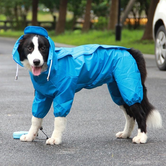 Combinaison Imperméable À Capuche Pour Animaux De Compagnie,Vêtements D'extérieur Pour Grands Chiens,Salopette Pour Petits Et Grands Chiens,Manteau De Pluie Labrador - Type Blue-22