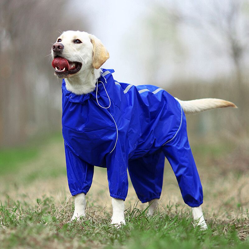 Vêtements Col Haut À Capuche Et Fermeture Éclair Imperméable Pour Chien,Combinaison Pour Petit Et Gros Animal De Compagnie,Salopette,Cape,Veste Réfléchissante - Type Blue-22