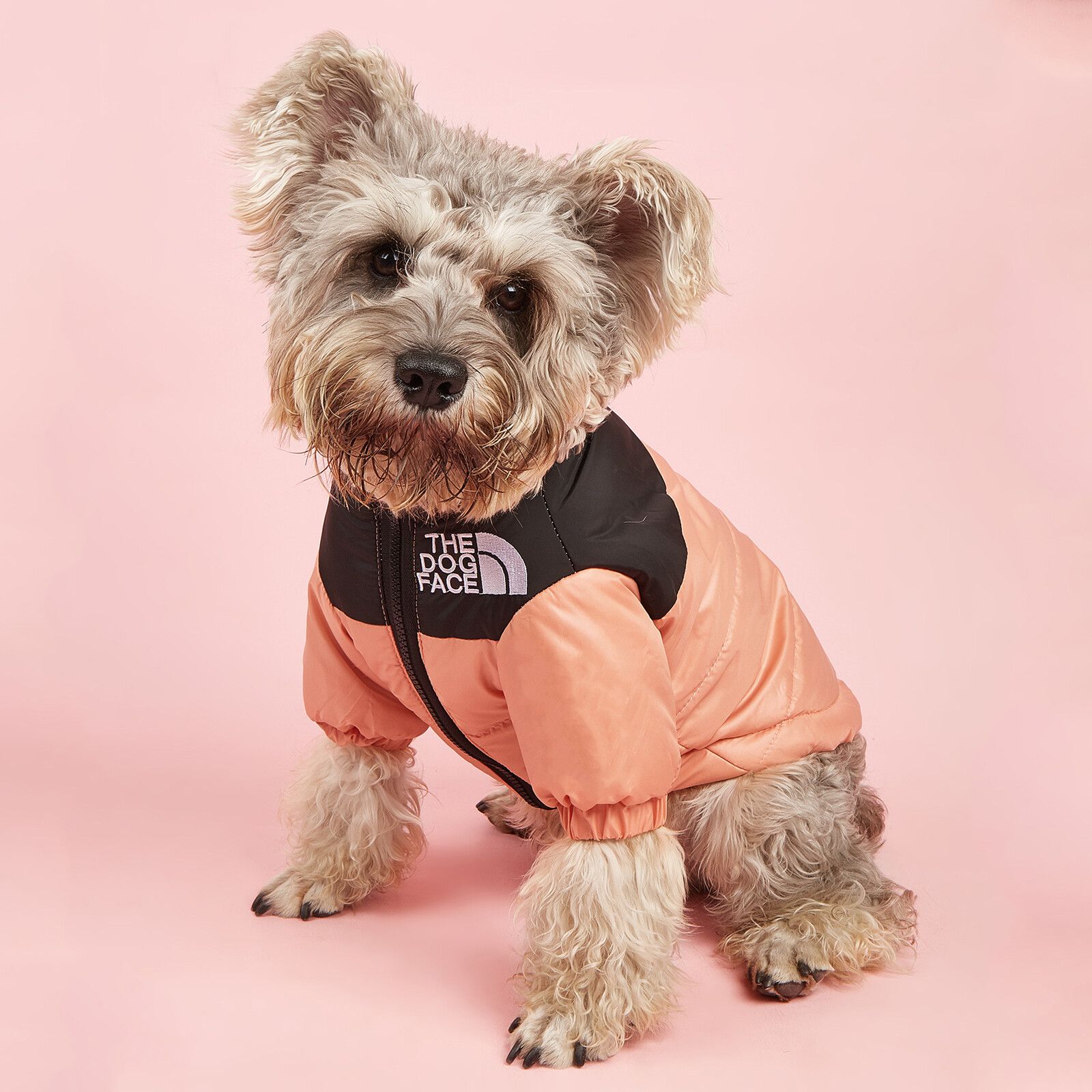 Veste De Neige Coupe-Vent Pour Grand Chien,Manteau Chaud,Vêtements Pour Animaux De Compagnie,Costume Pour Temps Froid,Bouledogue Français,Chihuahua,Hiver - Type Pink-M