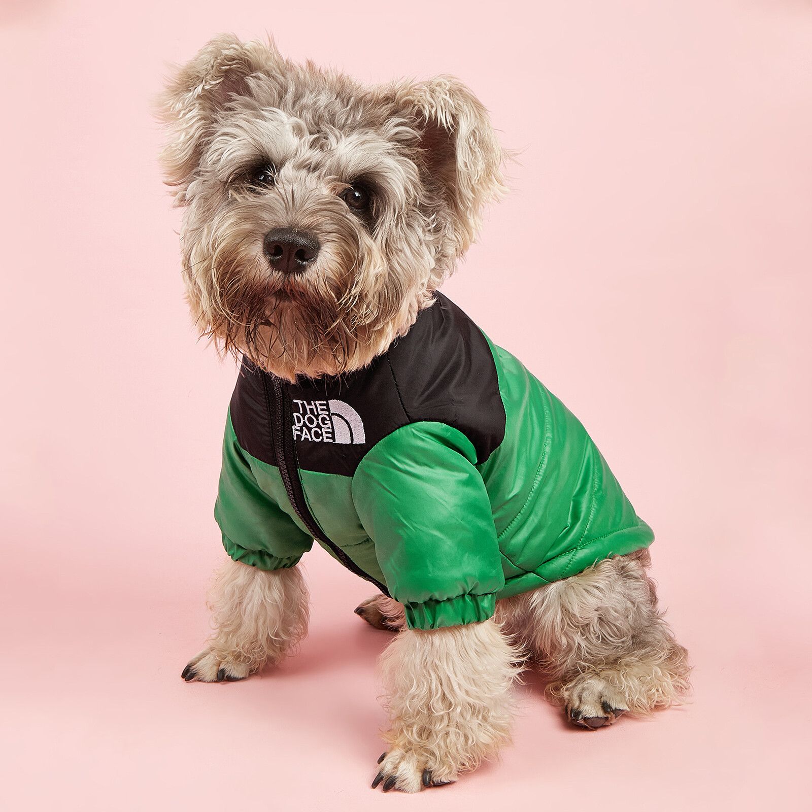 Veste De Neige Coupe-Vent Pour Grand Chien,Manteau Chaud,Vêtements Pour Animaux De Compagnie,Costume Pour Temps Froid,Bouledogue Français,Chihuahua,Hiver - Type Green-Xs