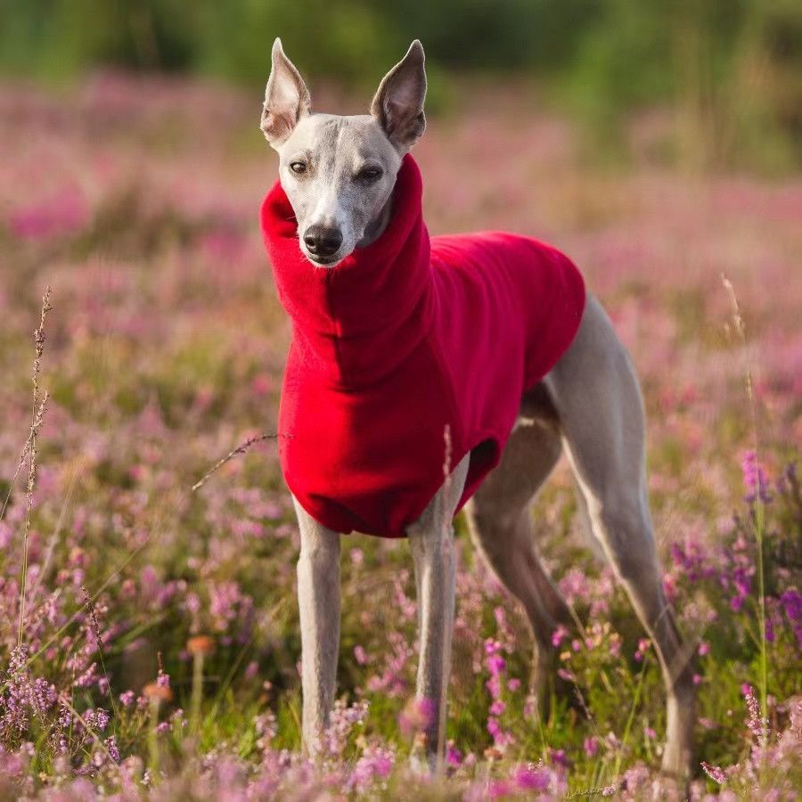 Vêtements De Lévrier Italien Smile Whippet,Col Roulé,Glaçure Douce,Vêtements Pour Chiens,Hiver - Type Red-Xxxl