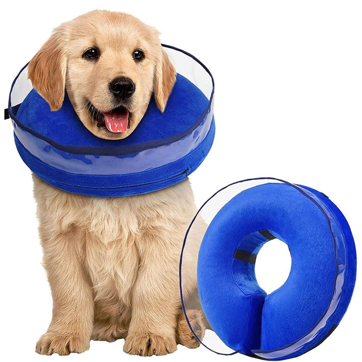 1 Collier Pour Chien - Bleu - M
