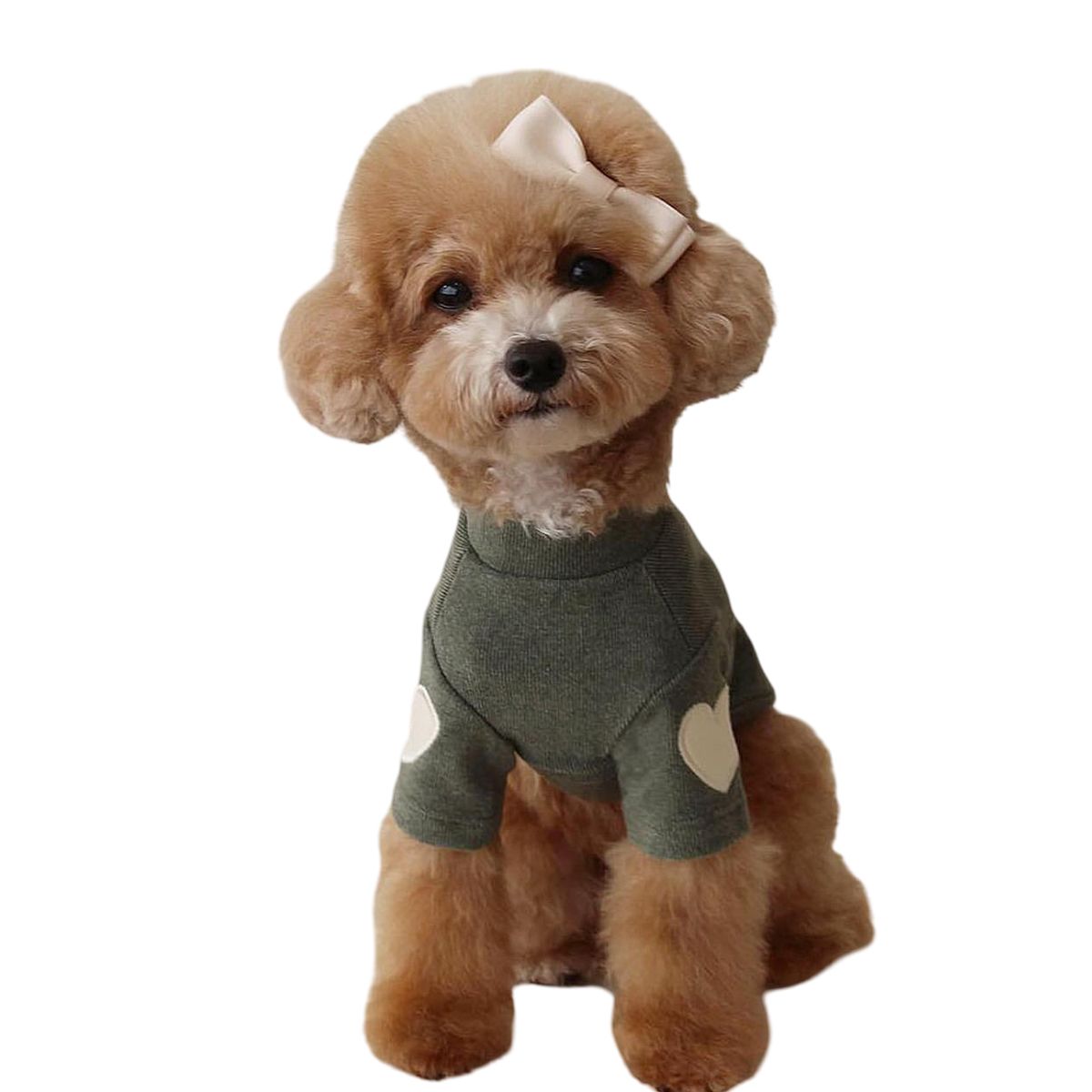 Chemise Pour Chien - Vert Foncé - S
