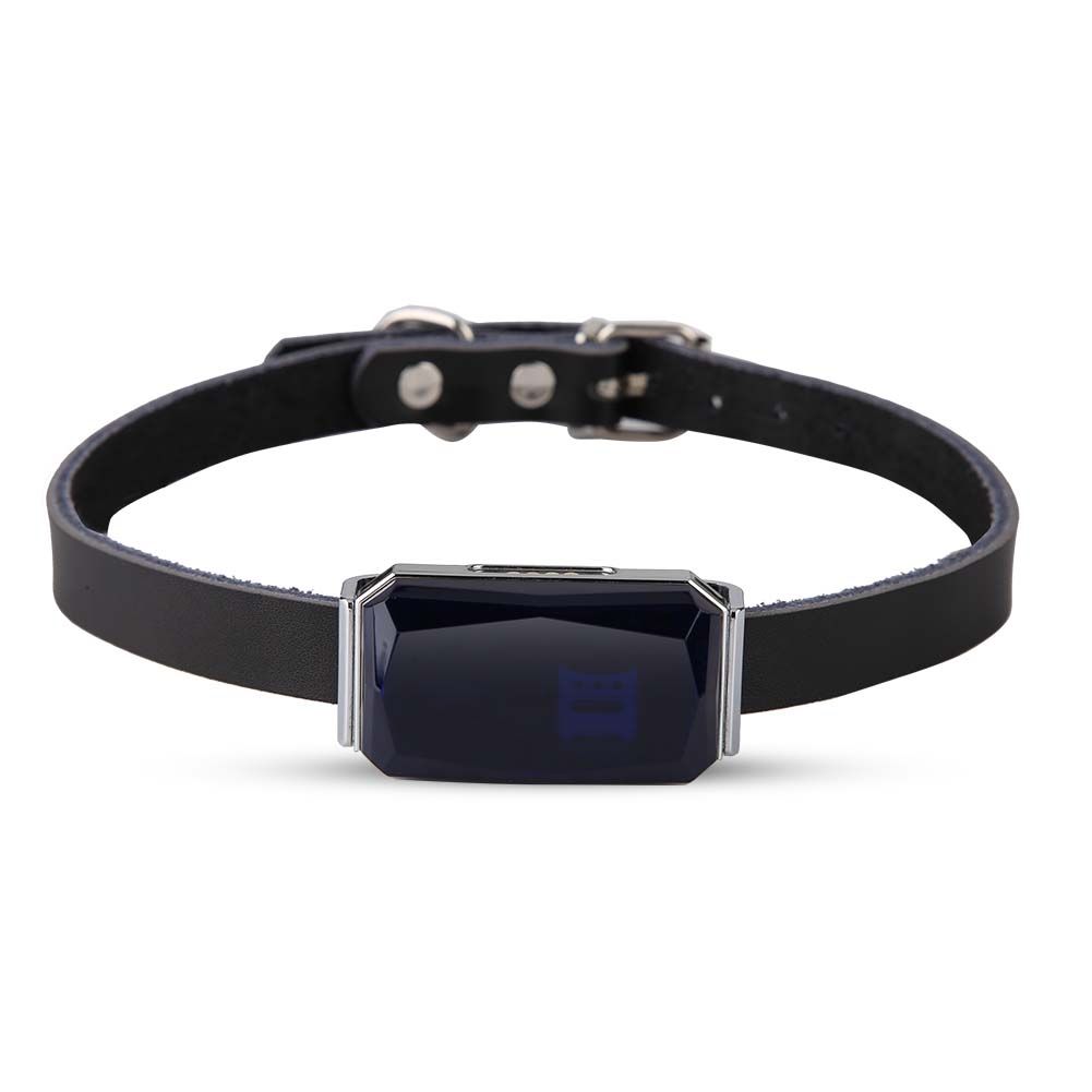 Collier De Suivi Gps Anti-Perte Pour Chiot Et Chien, Étanche, Mini, Pour Animaux De Compagnie (Bleu)