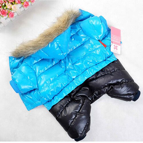 Vêtements D'hiver Épais Et Chauds Pour Animaux De Compagnie,Veste Imperméable Pour Petits Et Grands Chiens,Chiot,Chihuahua,Carlin,Bouledogue Français - Type Blue #F