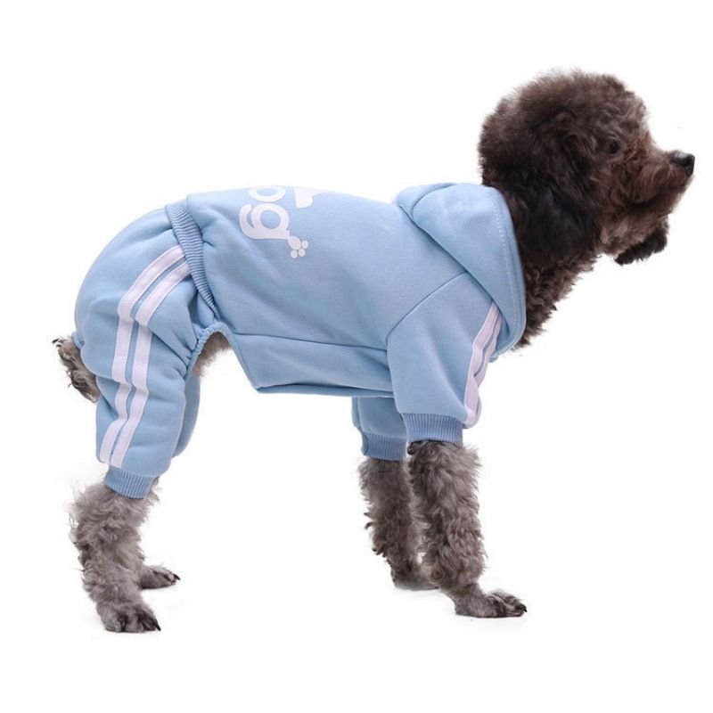 Vêtements Pour Animaux De Compagnie Pour Chiens,Combinaison Printemps Automne,Manteau Pour Chien,Veste Pour Chiot,Vêtements Pour Animaux De Compagnie Pour Chiens,Salopet - Type Light Blue-Xxl 6-8kg