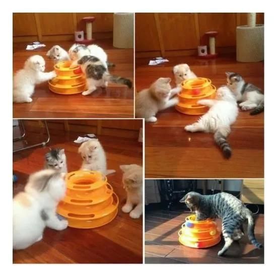 Meilleurs prix pour Jouet Interactif Chase Ball Plate Interactive Jouets Animaux Chat (Orange)Orange