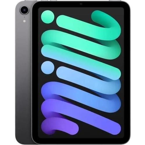 Apple - iPad Mini (2021) - 8,3" WiFi - 64 Go - Gris Sidéral - Reconditionné - Excellent État