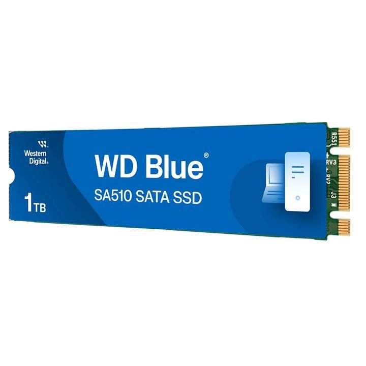 WD Blue SA510 WDS100T3B0B-00AXS0 - SSD - 1 To - interne - M.2 2280 - SATA 6Gb/s