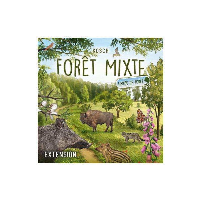 Jeu De Stratégie Asmodee Forêt Mixte Extension Lisière De Forêt