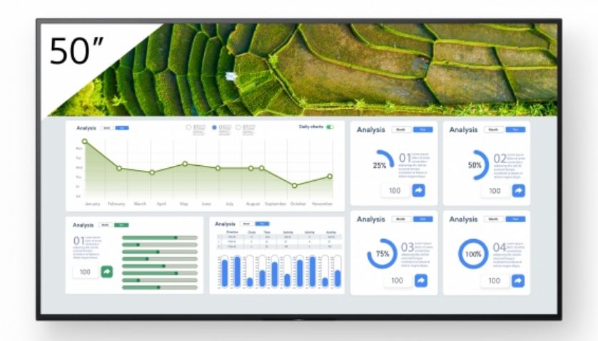 50`` Pro BRAVIA LCD 440nit