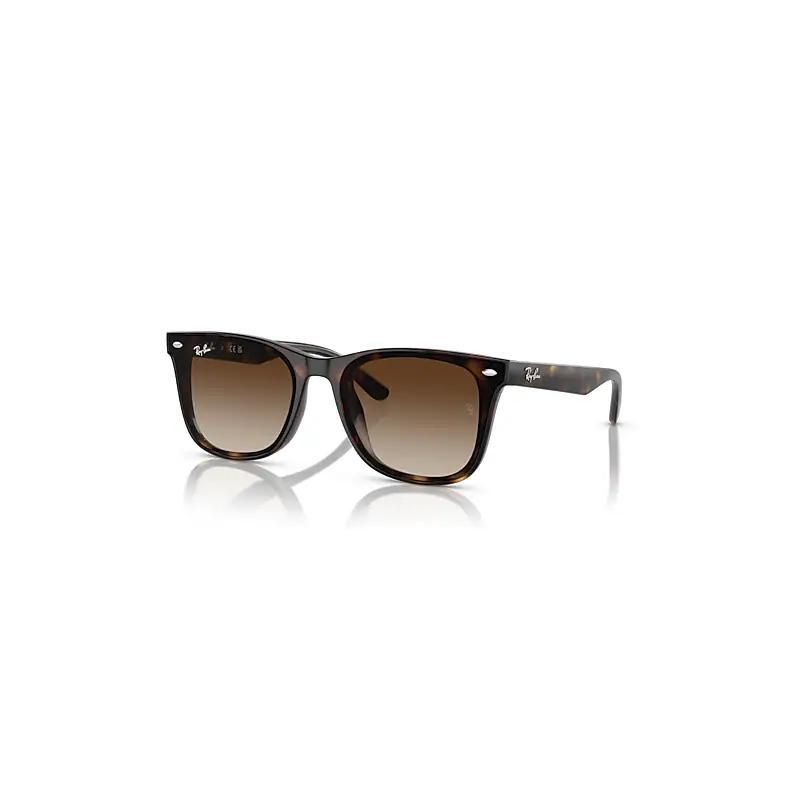 Ray Ban Rb4420 Lunettes De Soleil Monture Havana Verres 65