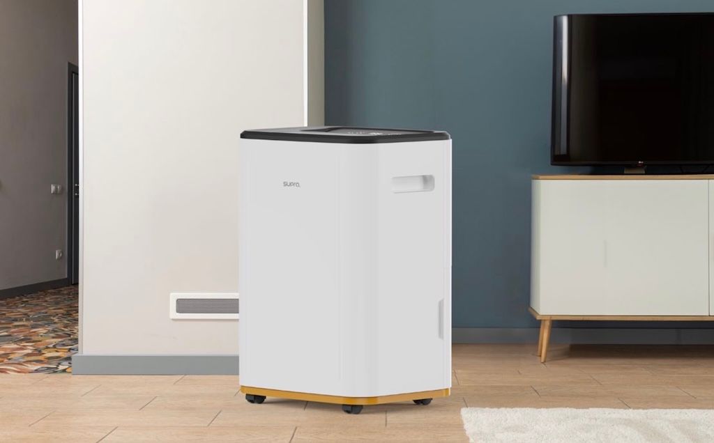 Déshumidificateur NIRA de 20 litres