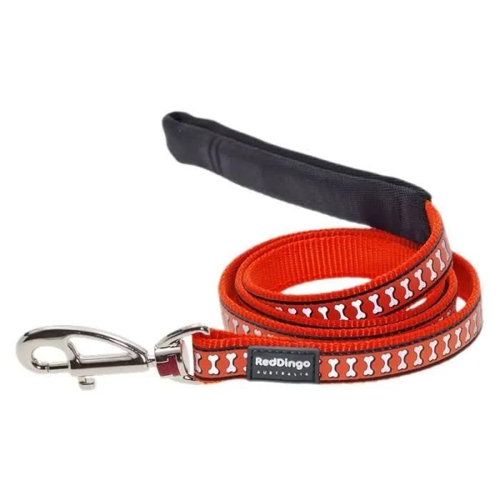 Meilleurs prix pour Red dingo - laisse réfléchissante pour chien - orange - s
