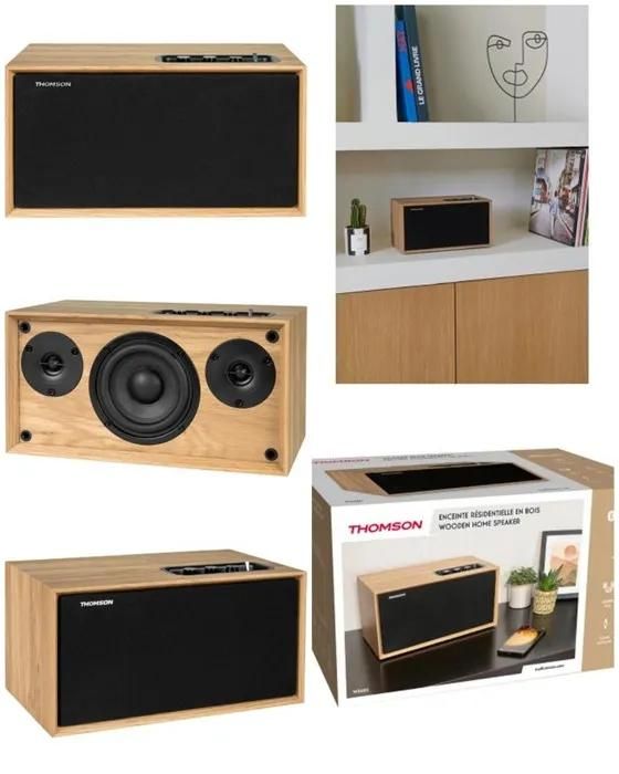 Enceinte Bluetooth amplifiée en Bois VINTAGE sono mobile AUX 6.35mm entrée TV USB AUX IN