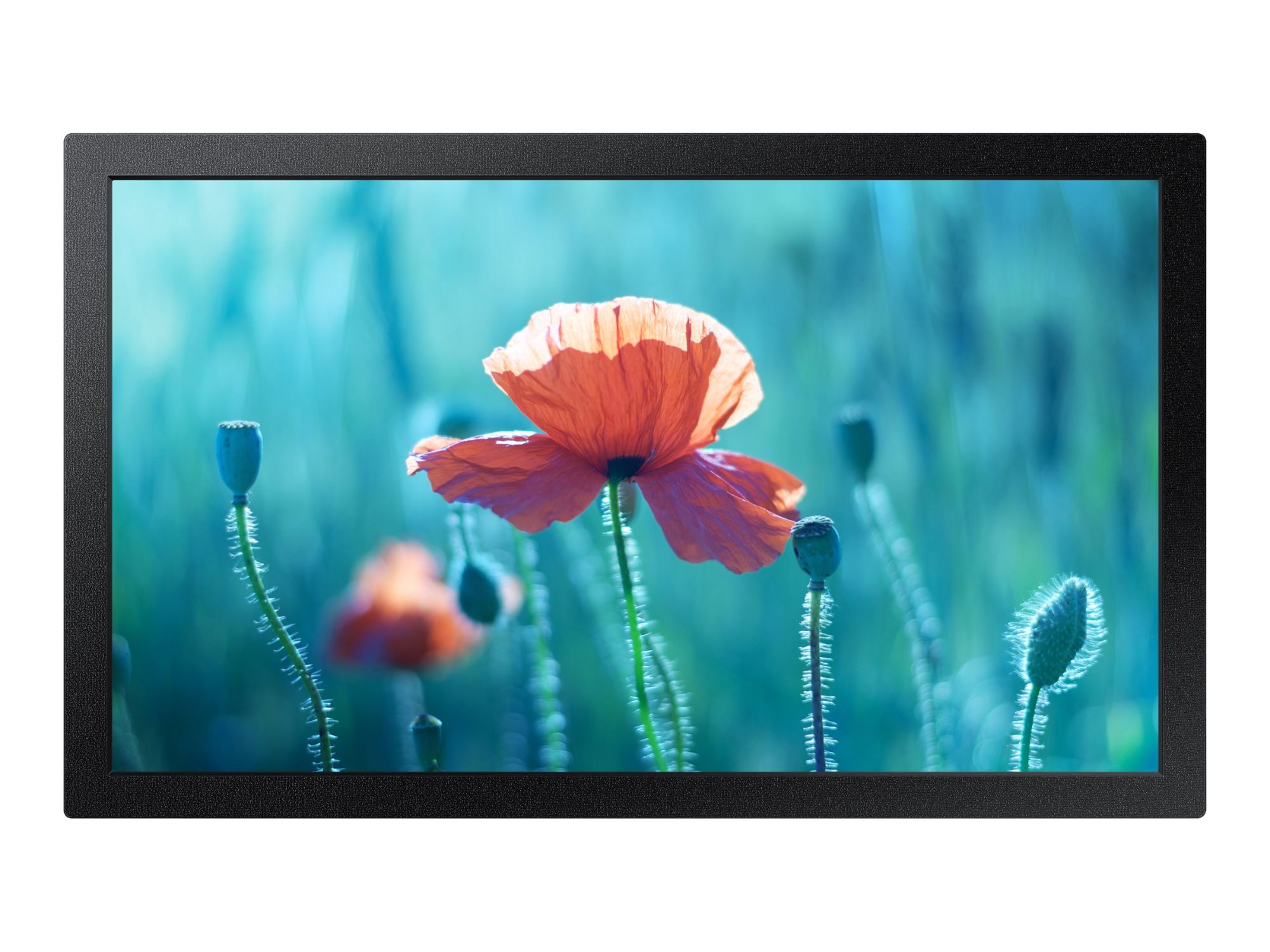 Samsung QB13R 13IN 33CM 1920 X 1080 FHD - vue 4