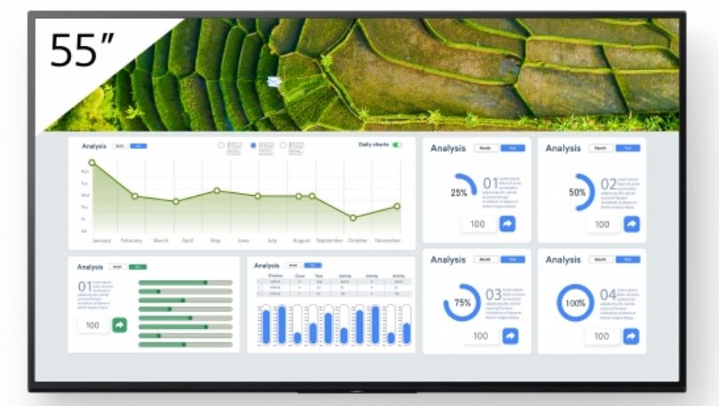 Sony IPS D55 - vue 2
