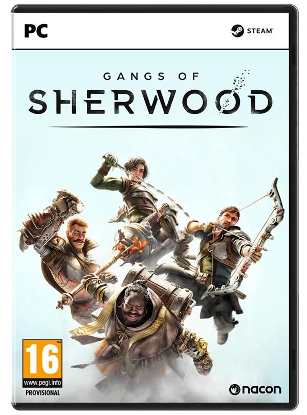 Gangs of Sherwood PC - vue 2