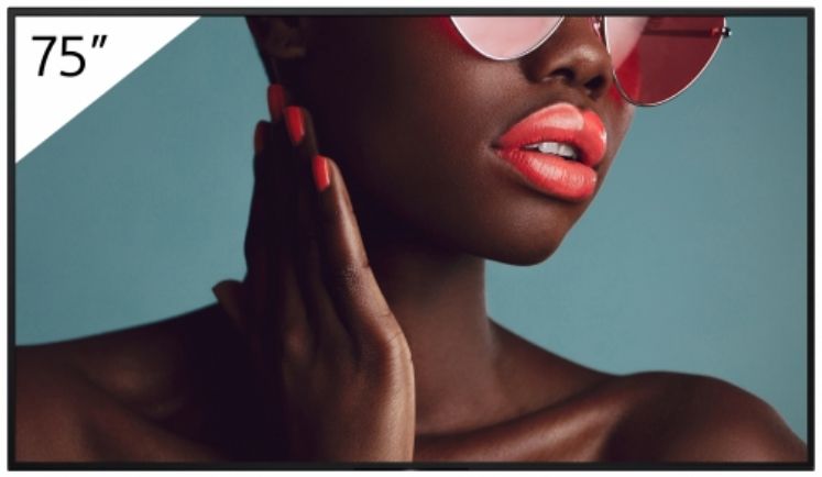 SONY FW 75BZ40L - vue 2