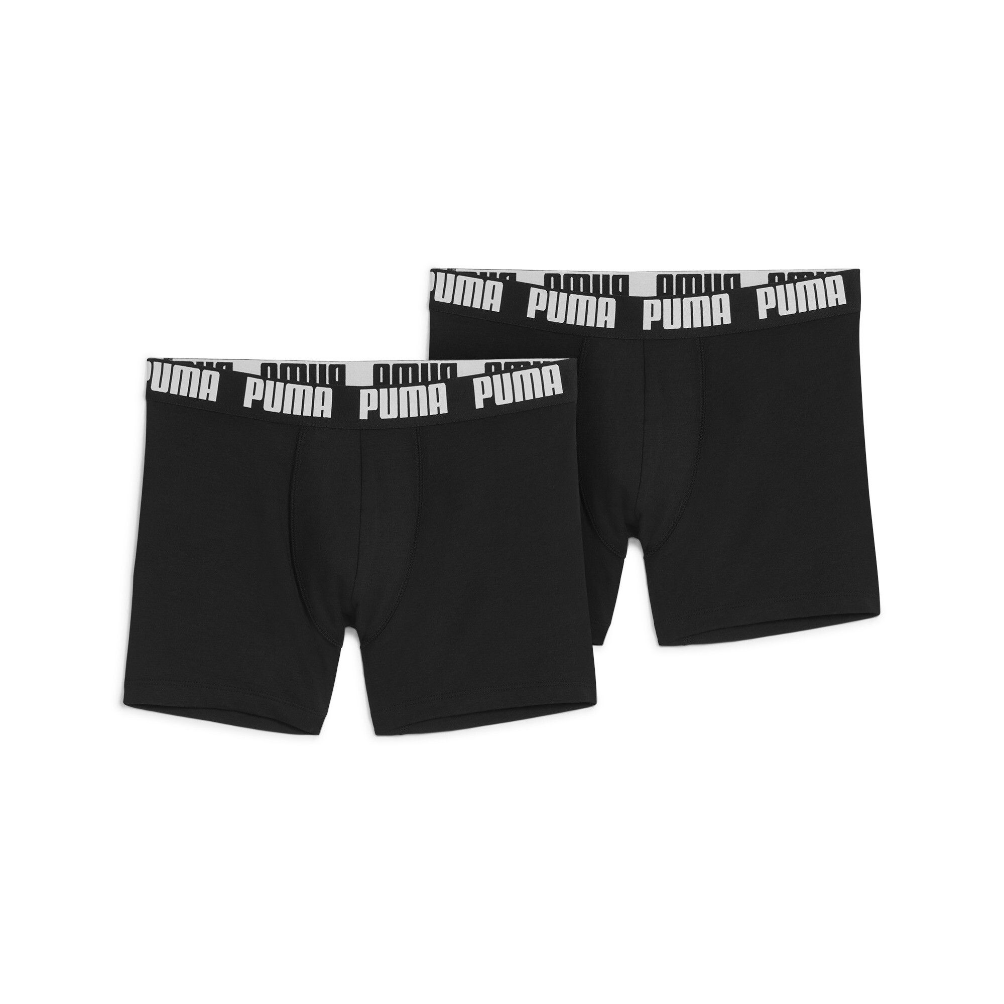 Boxers Puma MEN EVERYDAY BASIC BOXERS 2P FOREST NIGHT TONAL EU - vue 7