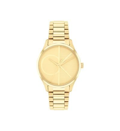 Montre Femme Iconic Doré 25200345