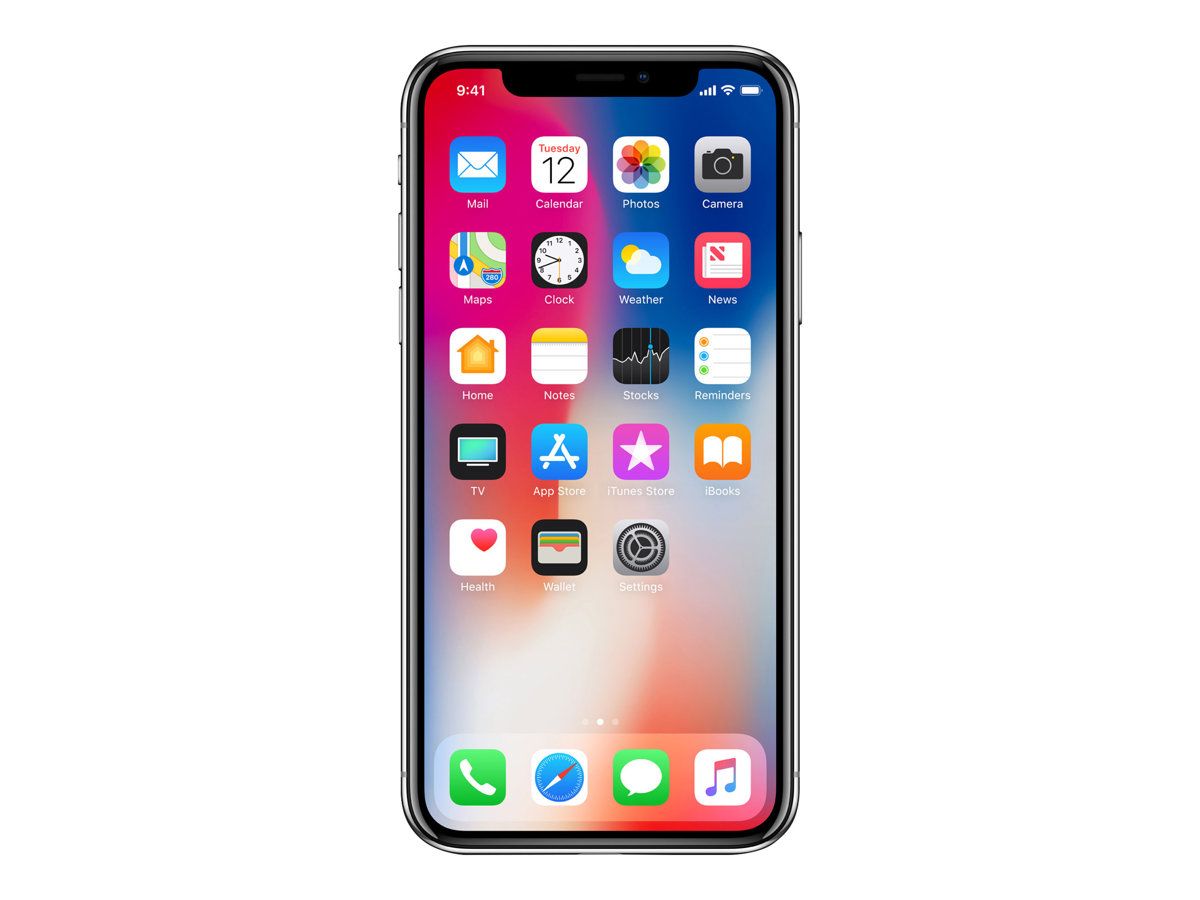 iPhone X