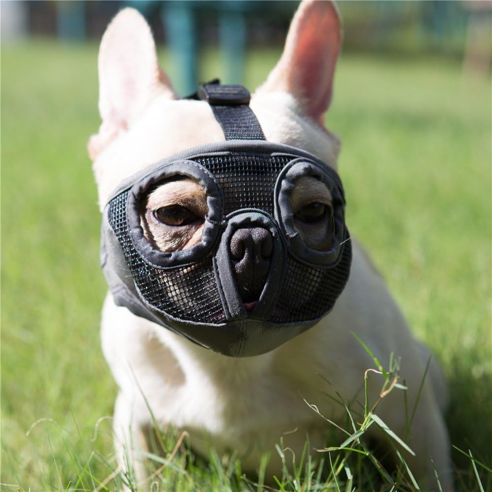 Court Museau (Xl(46-64cm))Chien Muzzle- Réglable Respirant En Maille Muselière Bulldog Pour Piqûres D'chewing Aboiements Chien Masque