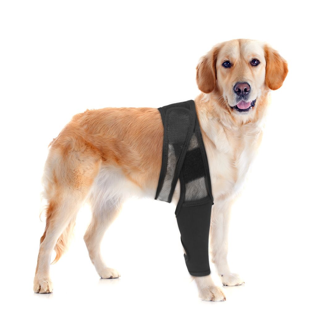 Comparer les prix de Protecteur De Cuisse Pour Chien,(L)Genouillères Pour Faiblesse De La Jambe, Protection Contre Les Blessures Post-Chirurgie, Orthèse De Rééducation, Courroies Fixes Pour La Jambe